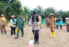 Polsek Indralaya Ogan Ilir Tanam Jagung di Sukaraja Baru, Wujudkan Ketahanan Pangan Desa