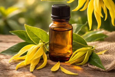 7 Aroma Essential Oil Terbaik untuk Diffuser, Bantu Ciptakan Suasana Tenang dan Pikiran Lebih Rileks
