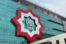 Produk AS Bisa Masuk Tanpa Sertifikasi Halal? Fakta atau Hoax