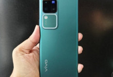 HP Vivo V30 dan Vivo Y36 Usung Kamera Canggih Beresolusi Tinggi Terbaik untuk Gaming