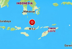 Ratusan Aktivitas Gempa Tercatat di Flores Rabu Pagi, Terbaru Gempa M 5,2 Guncang Nagekeo,