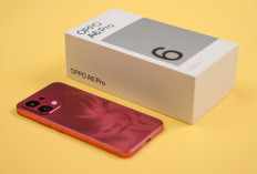Harga Oppo A6 Pro November 2025: Pilihan HP Baterai Besar dengan Performa Tangguh