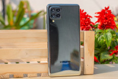 Samsung Galaxy F62: Rekomendasi HP Tangguh Murah dengan Perlidungan Gorilla Glass 3, Ini Spesifikasinya!