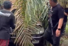 Mobil Curian Disembunyikan di Kebun Sawit, Polisi Tangkap Terduga Penadah di PALI