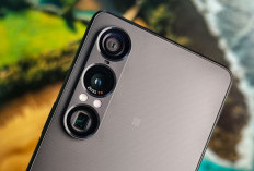 Sony Xperia 1 VII Mulai Dapat Android 17, Tampilan dan Fitur Rekam Layar Berubah Kapan Masuk Indonesia?