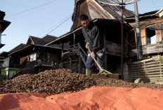 Kopi Tebat Benawa Pusri, Tumbuhkan Harapan Petani di Gunung Dempo