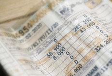 Berlaku Februari 2026? Simak Bocoran Aturan Pajak Kendaraan Terbaru yang Bakal Berubah