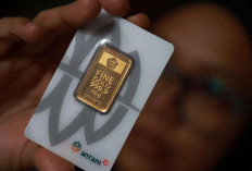 Update Harga Emas Antam 15 Juni 2026: Dari 0,5 Gram hingga 1 Kg