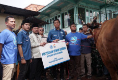 Wawako Prima Salam Dorong Peran Ekonomi Kreatif, Berdayakan UMKM Palembang di Momen Idul Adha 2025