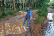 Selama 19 Tahun Jalan Desa di Banyuasin Ini Tidak Tersentuh Pembangunan