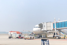 Operasional Penerbangan di Bandara Internasional SMB II Tetap Normal dan On Schedule Meskipun Kabut Asap