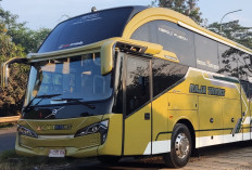 Woww, Ternyata Ini Sasis Bus Premium yang Merajai Aspal Jalanan di Indonesia
