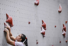 Tim Panjat Tebing Indonesia Raih 4 Medali di Krakow 2026