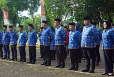 Jadi Temuan BPK Sumsel, ASN Banyuasin Tidak Boleh Menerima Honor?