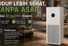 Jangan Asal Murah! Ini Rekomendasi Air Purifier Berkualitas yang Ampuh Menyaring Asap di Dalam Rumah