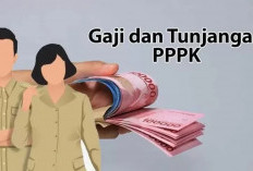 Horee! 1 September Gaji PPPK Cair, Ini Jumlah yang Diterima