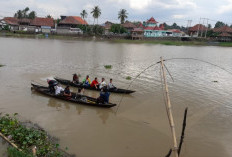 Perlombaan Perahu Bidar HUT Ke-80 RI di Sungai Komering OKI Dimulai Besok
