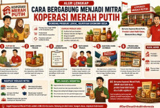 Penting bagi UMKM, Begini Cara Bergabung Menjadi Mitra Koperasi Merah Putih agar Produk Lokal Bisa Bersaing