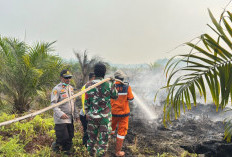 Titik Api di Pangkalan Lampam OKI Dipadamkan Satgas Gabungan, Sumber Air jadi Kendala