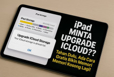 iPad Minta Upgrade iCloud? Tahan Dulu, Ada Cara Gratis Bikin Memori Kosong Lagi!