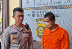 Dendam dan Merasa Tersaingi, Pedagang Siomay di Palembang Sewa Mobil Pickup Angkut Gerobak Korban 