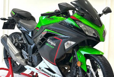 Pemula Dunia Motor Sport Ingin Lebih Serius Harus Coba Kawasaki Ninja 300, Berikut Spesifikasinya