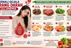 Kenali Gejala Kurang Darah atau Anemia, Ini 8 Daftar Makanan Penambah Darah Paling Cepat dan Alami