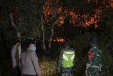 Kebakaran Lahan 5 Hektare di Desa Belanti Tanjung Raja Ogan Ilir, Sukses Dipadamkan Tim Gabungan