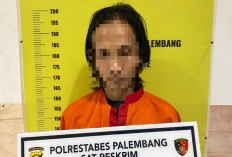 300 Semangka Hilang, Pedagang Pasar Buah Jakabaring Buka CCTV Ternyata Pegawainya Nakal   
