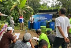 Pertamina EP Pendopo Field Perkuat Pertanian Ramah Lingkungan Lewat Program Musi Rawas Sustainability
