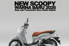 Honda Scoopy 2026 Hanya Ganti Warna, Jok Kulit Jeruk Mirip Stylo, Striping Simpel Emblem Logo Tidak Timbul