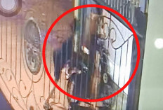 Terekam Kamera CCTV, 2 Pelaku Curanmor di Palembang Beraksi Dini Hari Angkut Motor Dalam Pagar 