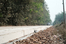 Kolaborasi Pusat dan Daerah Tingkatkan Konektivitas Jalan di OKI