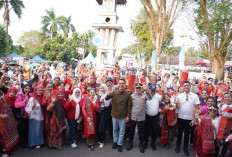 Karnaval Budaya OKI Rayakan Keberagaman, Geliatkan Ekonomi Kerakyatan