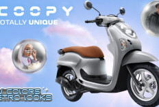 Harga dan Penawaran Honda Scoopy Terbaru September 2026, Mulai Rp23 Jutaan