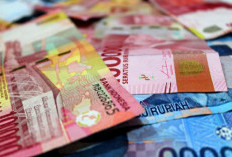 Pasca Penerapan Coretax, Penerimaan Pajak di Sumatera Selatan Tumbuh 9,1 persen