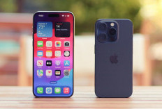 8 iPhone Turun Harga di Juli 2025, Pilihan Menarik untuk Penggunaan Jangka Panjang