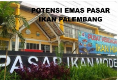 Potensi Emas Pasar Ikan: Wali Kota Palembang Ratu Dewa Minta Kadin Bersinergi 