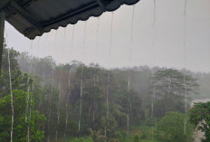 CEK, Ini Prakiraan BMKG Cuaca Sumsel dan Peringatan Dini Bengkuku Babel dan Lampung