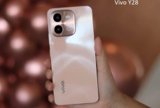 Cari HP Cantik dan Desain Elegan? Ini Tampil Terbaru Vivo Y28 di Pertengahan Tahun 2025 