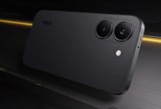  5 Rekomendasi HP Harga Rp 5 Jutaan Terbaik Juli 2026, Layar AMOLED 120Hz