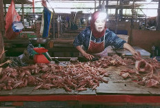 Emak-emak ‘Menjerit’ Harga Daging Ayam di Muara Enim Tembus Rp45 Ribu/Kg