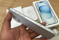Minimal iPhone 15 Rekomendasi iPhone Bagus Buat Konten Kreator, Mengapa Bukan iPhone 13? 