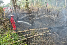 Jaga Keselamatan Bersama, PHR Zona 4 Respon Cepat Padamkan Lebih dari 100 Titik Api Karhutla Sumsel