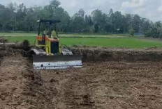 Ketua DPRD Luwu Utara Berharap Program Cetak Sawah Rakyat Dilanjutkan 