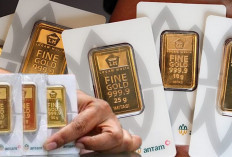Harga emas Antam di Butik Logam Mulia (LM). Rabu 13 Mei 2026 ambruk usai meroket sehari sebelumnya. 