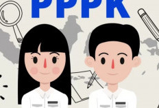Kabar Gembira! Honorer Tidak Lolos Seleksi PPPK 2024 Tahap 2 Tetap Diangkat 
