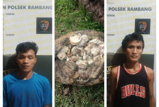 Jelang Lebaran, Pencuri Getah Karet Marak Beraksi di Muara Enim, Kini Diamankan Polsek Rambang