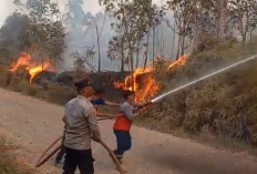 Bara Gambut Mengintai di Bawah Tanah! Polda Sumsel Sisir 80 Hektare Karhutla dengan Metode Spiral hingga Malam