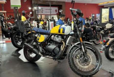 Harga Royal Enfield Bear 650 di 2026: Scrambler Premium Berbasis Interceptor dengan Knalpot 2-1 Baru